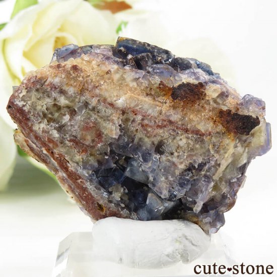  ֥롼ե饤ȤθСʷ뾽 33gμ̿0 cute stone