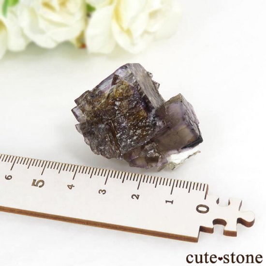 ꥫ ƥͥ ե饤ȡ륵Ȥθ 27.3gμ̿5 cute stone