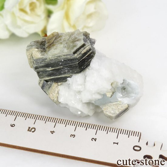 ѥ ɥ ޥ⥹ХȤդ뾽ʸС71gμ̿4 cute stone