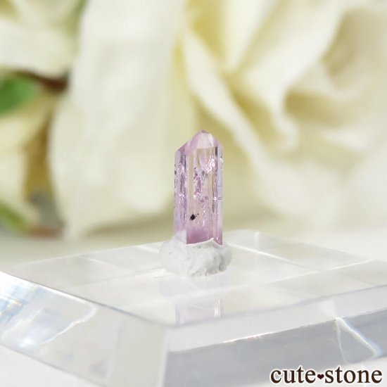 ԥ󥯥ȥѡʥڥꥢȥѡˤη뾽ʸС 0.2ctμ̿0 cute stone