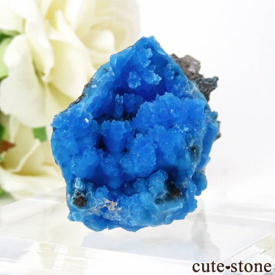  ʻ ֥Ȥդ뾽ʸС 13.5gμ̿0 cute stone