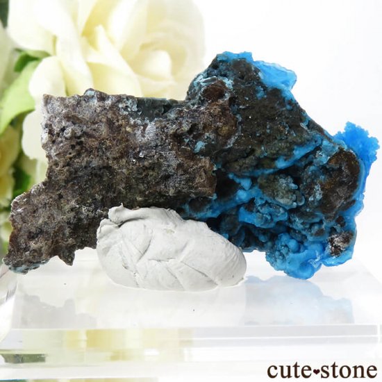  ʻ ֥Ȥդ뾽ʸС 13.5gμ̿1 cute stone