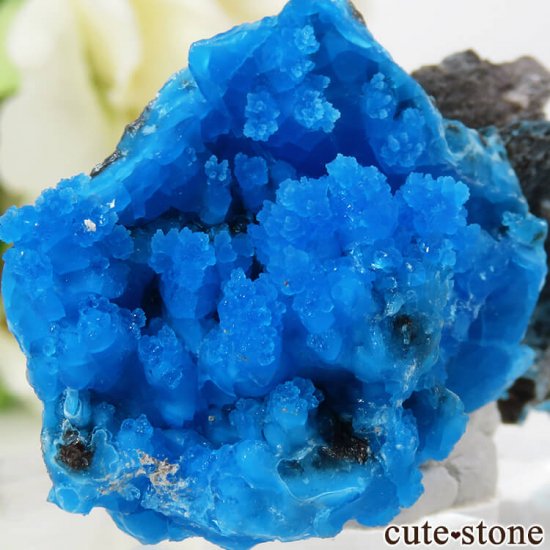  ʻ ֥Ȥդ뾽ʸС 13.5gμ̿2 cute stone
