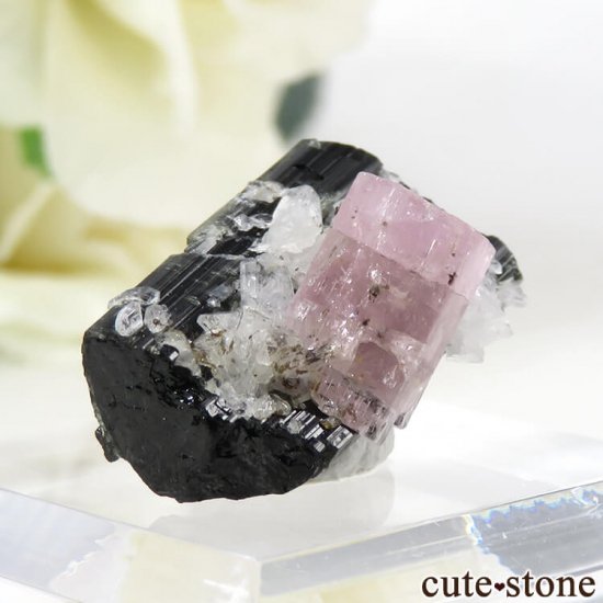 ѥ ɥ ԥ󥯥ѥȡ֥åȥޥ 4.1gμ̿0 cute stone
