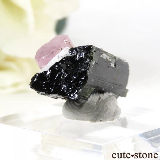 ѥ ɥ ԥ󥯥ѥȡ֥åȥޥ 4.1gμ̿2 cute stone