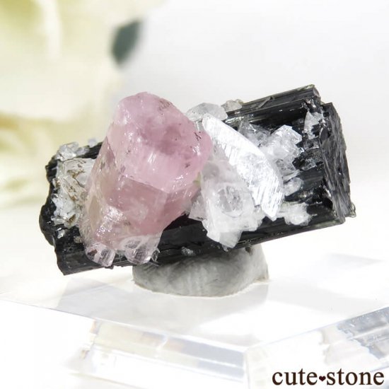 ѥ ɥ ԥ󥯥ѥȡ֥åȥޥ 4.1gμ̿3 cute stone