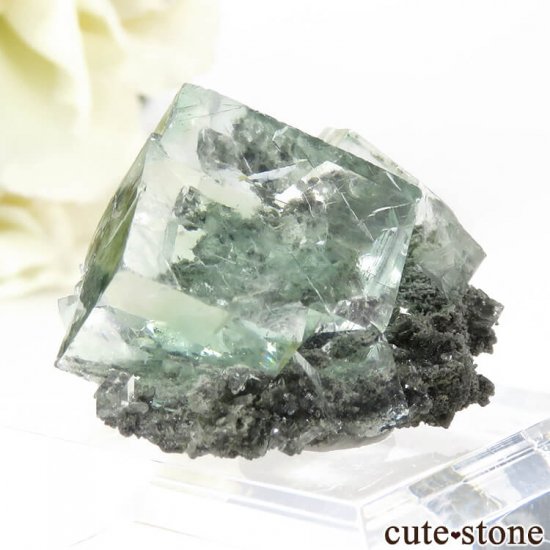  Xianghualing Mine ꡼ե饤Ȥη뾽 10.8gμ̿0 cute stone