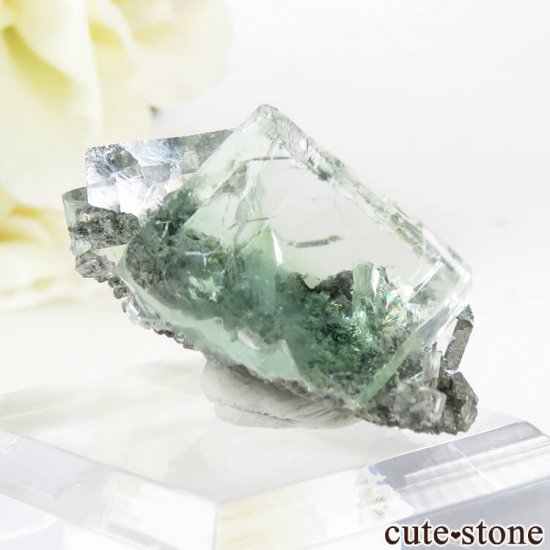  Xianghualing Mine ꡼ե饤Ȥη뾽 10.8gμ̿1 cute stone