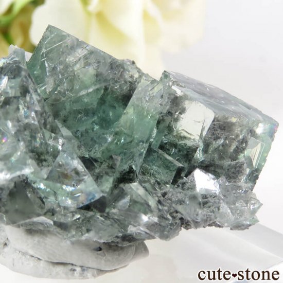  Xianghualing Mine ꡼ե饤ȡ륵Ȥη뾽 25.7gμ̿3 cute stone