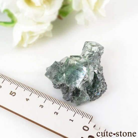  Xianghualing Mine ꡼ե饤ȡ륵Ȥη뾽 25.7gμ̿4 cute stone