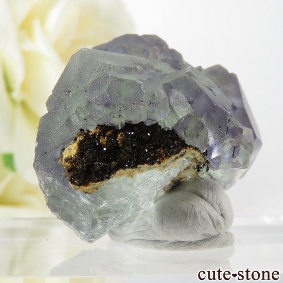  ʡʻ ꡼ѡץե饤Ȥη뾽ʸС31.8gμ̿1 cute stone