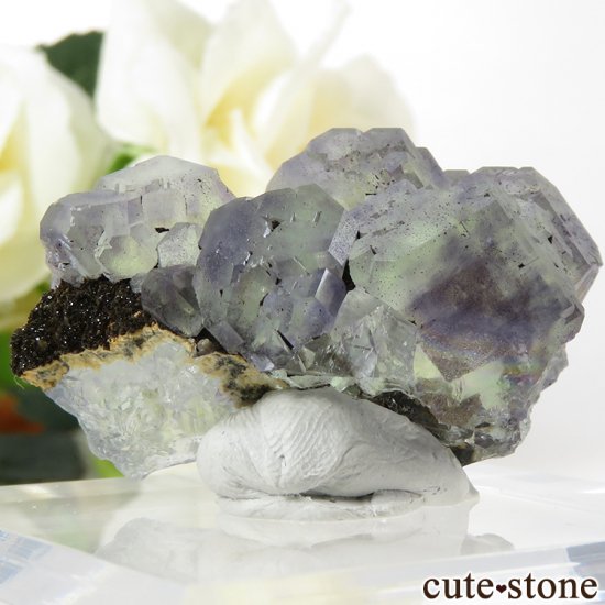  ʡʻ ꡼ѡץե饤Ȥη뾽ʸС31.8gμ̿2 cute stone
