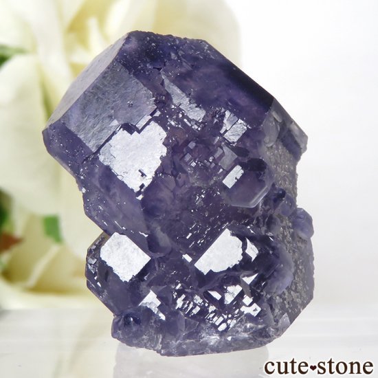  ʡʻ ѡץ֥롼ե饤Ȥդ뾽ʸС19.3gμ̿1 cute stone