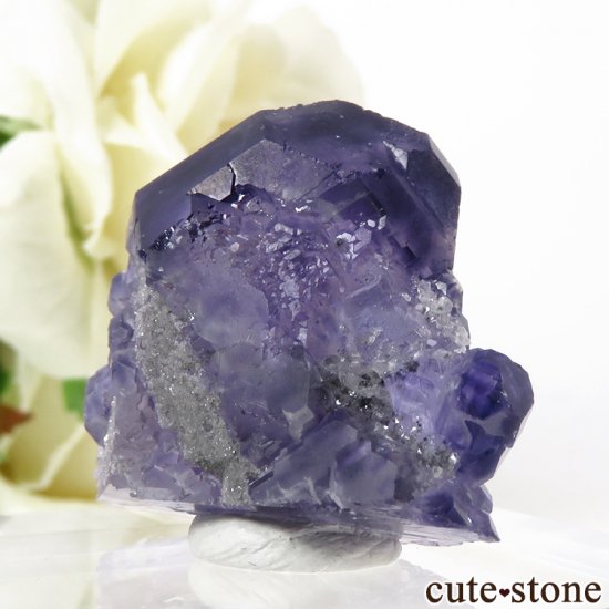  ʡʻ ѡץ֥롼ե饤Ȥդ뾽ʸС19.3gμ̿3 cute stone