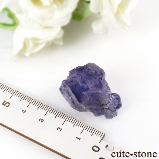  ʡʻ ѡץ֥롼ե饤Ȥդ뾽ʸС19.3gμ̿6 cute stone