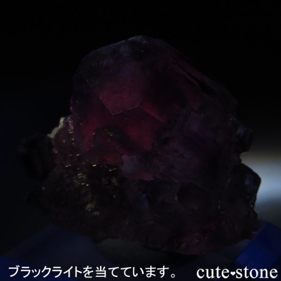  ʡʻ ѡץ֥롼ե饤Ȥդ뾽ʸС19.3gμ̿7 cute stone