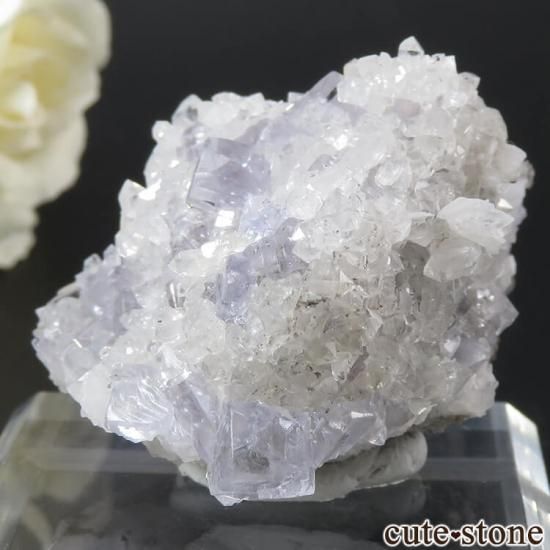 ڥ Emilio Mine ե饤ȡĤդ뾽ʸС75gμ̿1 cute stone