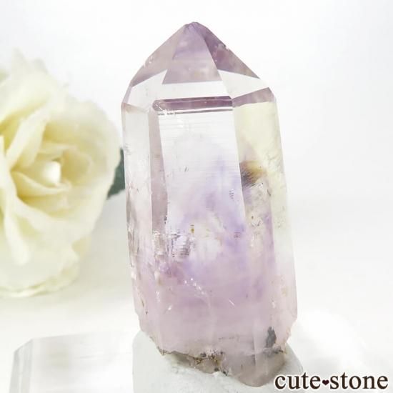 ʥߥӥ ֥ɥС ꥢ᥸Ȥñ뾽() 14.5gμ̿1 cute stone