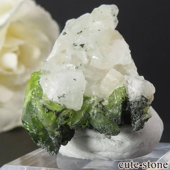 ѥ ɥ եդ 7.8gμ̿0 cute stone