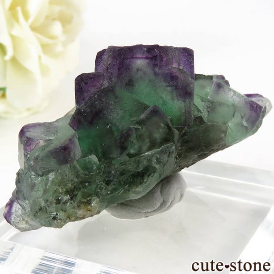 ʥߥӥ Okorusu Mine꡼ߥѡץե饤Ȥθ 58.9gμ̿1 cute stone