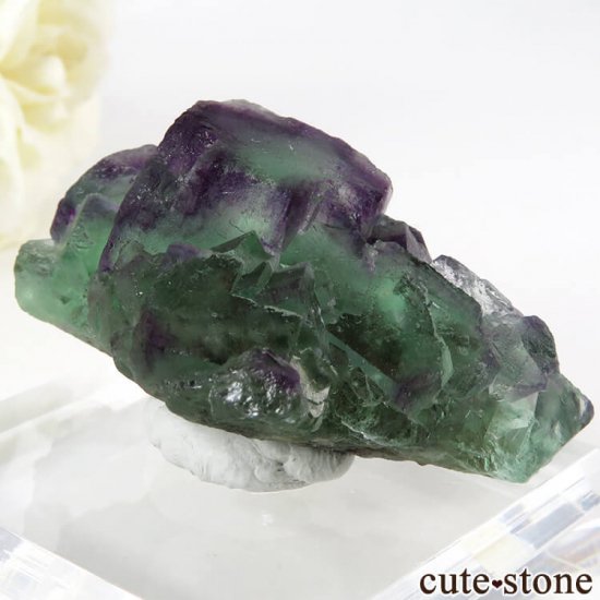 ʥߥӥ Okorusu Mine꡼ߥѡץե饤Ȥθ 58.9gμ̿2 cute stone