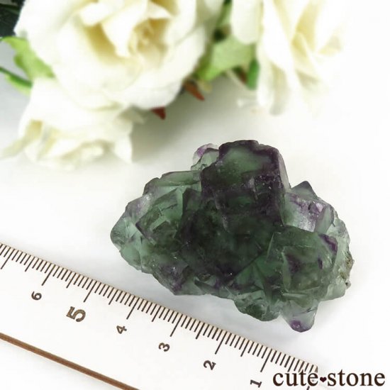 ʥߥӥ Okorusu Mine꡼ߥѡץե饤Ȥθ 58.9gμ̿5 cute stone