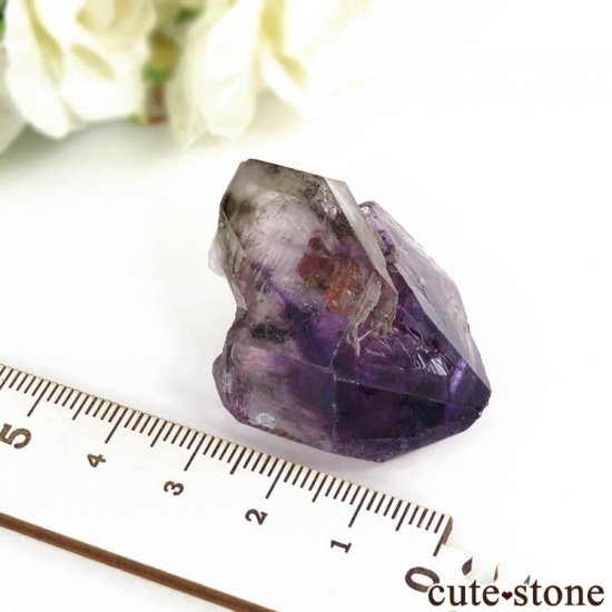 Х֥ ᥸Ȥη뾽() 28.4gμ̿5 cute stone
