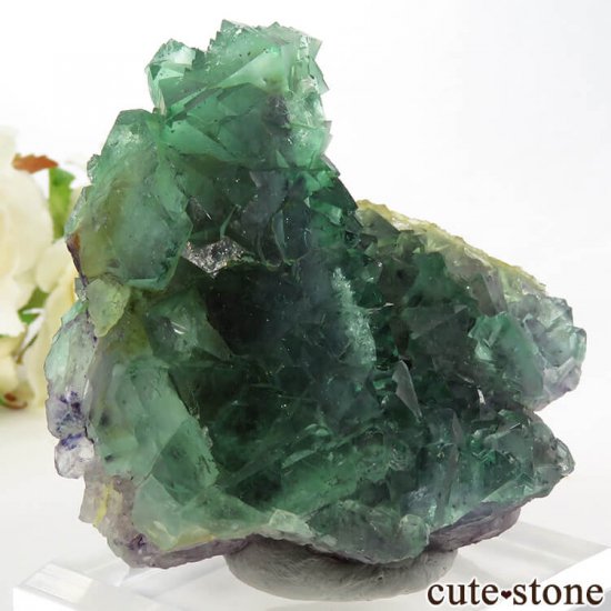 եꥫ ȬΥ꡼ե饤Ȥθ 162gμ̿0 cute stone