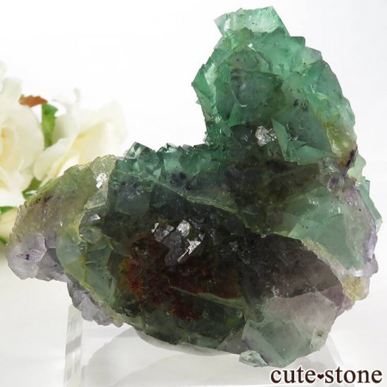 եꥫ ȬΥ꡼ե饤Ȥθ 162gμ̿1 cute stone