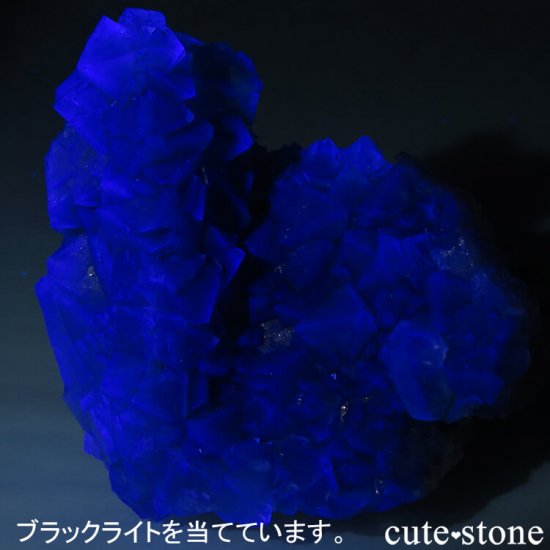 եꥫ ȬΥ꡼ե饤Ȥθ 162gμ̿6 cute stone