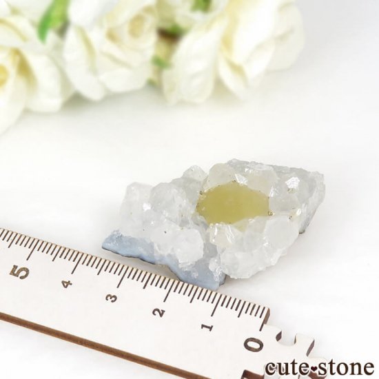 Υե饤Ȥθ ɻ 25gʹʪɸܡˤμ̿3 cute stone