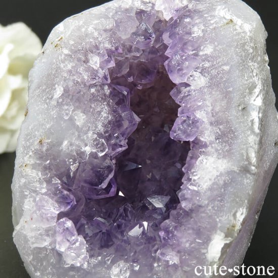 ɻ ߥ˥Υ᥸ȥɡʥڥ顦ڡˡʹʪɸܡ109gμ̿3 cute stone