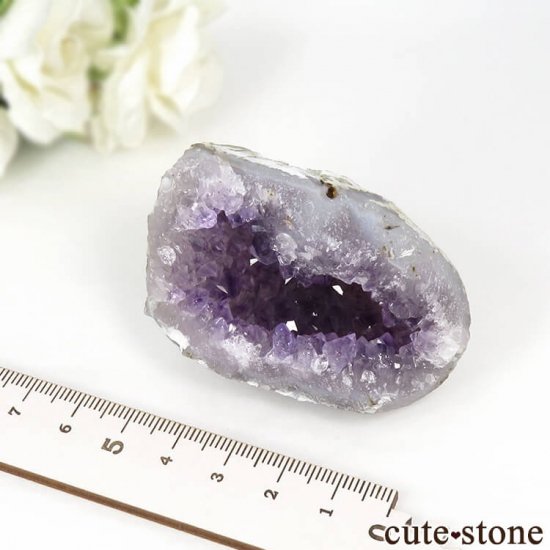 ɻ ߥ˥Υ᥸ȥɡʥڥ顦ڡˡʹʪɸܡ109gμ̿4 cute stone