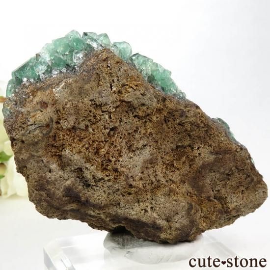 󥰥 Diana Mariaۻ ָե饤Ȥդ뾽ʸС126gμ̿1 cute stone