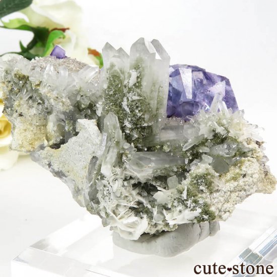 䥪󥷥 ѡץ֥롼ե饤&Ĥդ뾽ʸС89gμ̿0 cute stone