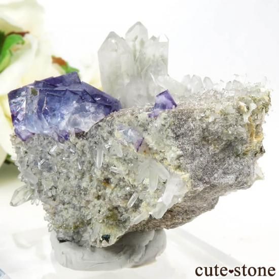 䥪󥷥 ѡץ֥롼ե饤&Ĥդ뾽ʸС89gμ̿1 cute stone