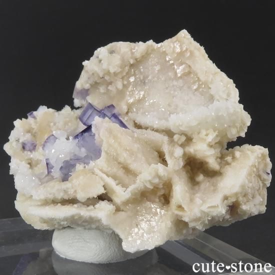 䥪󥷥 ѡץե饤ȡ 26gμ̿1 cute stone