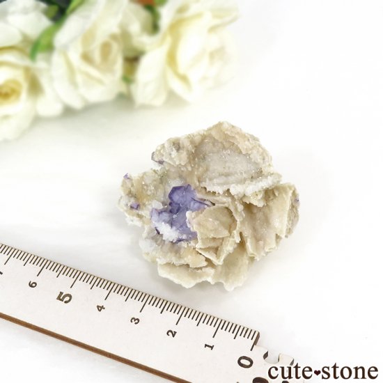 䥪󥷥 ѡץե饤ȡ 26gμ̿5 cute stone
