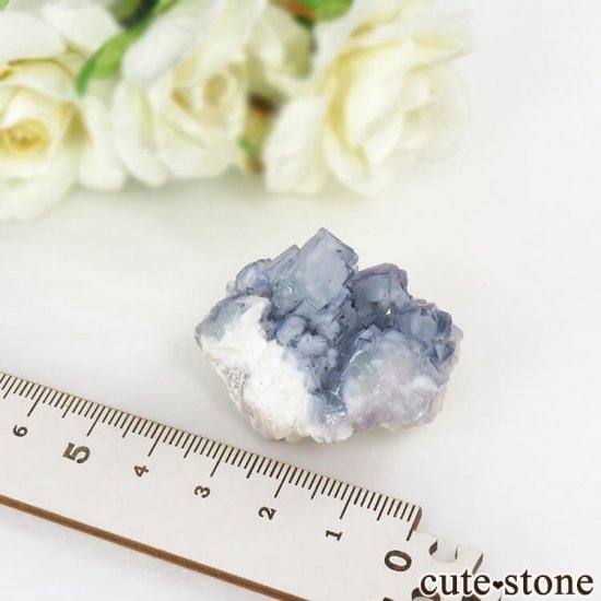 䥪󥷥 ֥롼ե饤 29gμ̿5 cute stone