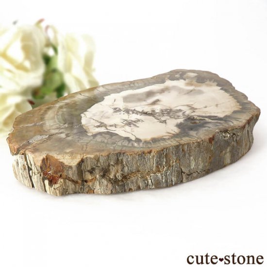 ڥȥեɥåɡʷڡˤΥ饤 329gμ̿1 cute stone