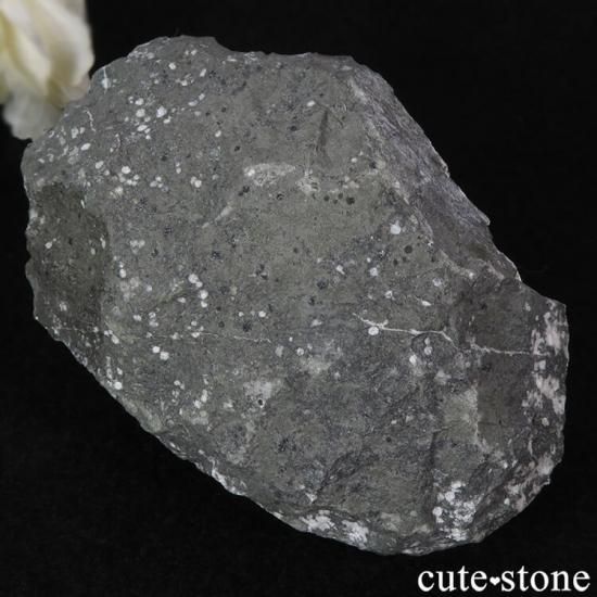 ʥȤդ 464gμ̿1 cute stone