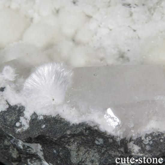 ʥȤդ 464gμ̿3 cute stone