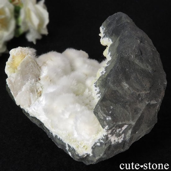 ʥȤդ뾽 397g μ̿0 cute stone