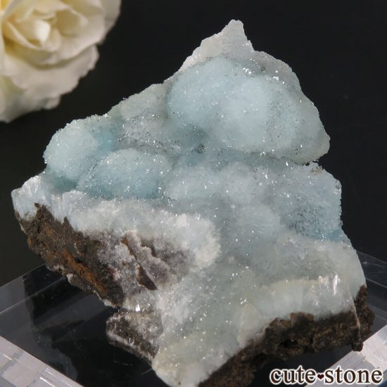  ʻ إߥեȤθ 53gμ̿0 cute stone