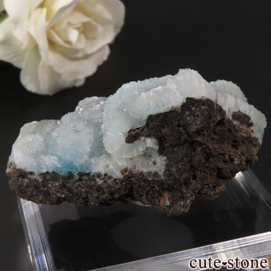  ʻ إߥեȤθ 53gμ̿1 cute stone