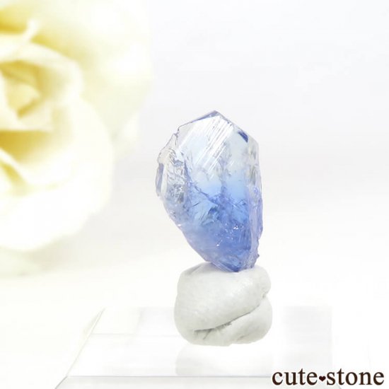 ˻ 󥶥ʥ(֥롼)ñ뾽ʸС1.9ctμ̿1 cute stone