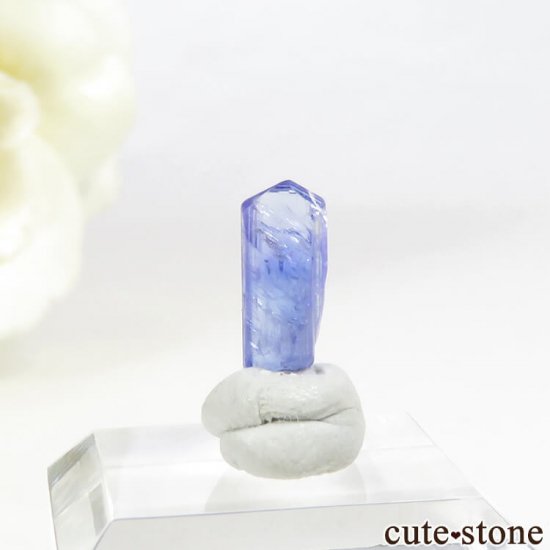 ˻ 󥶥ʥ(֥롼)ñ뾽ʸС1.2ctμ̿1 cute stone