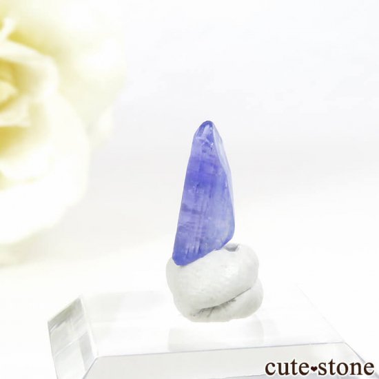 ˻ 󥶥ʥ(֥롼)ñ뾽ʸС1.2ctμ̿2 cute stone