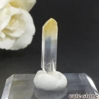 ӥ ޥ󥴡Ĥη뾽 () 0.6gβ