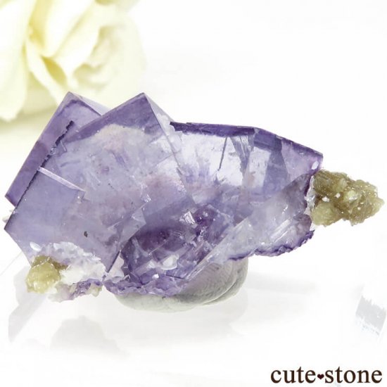 䥪󥷥 ѡץե饤Ȥη뾽ʸС32gμ̿0 cute stone
